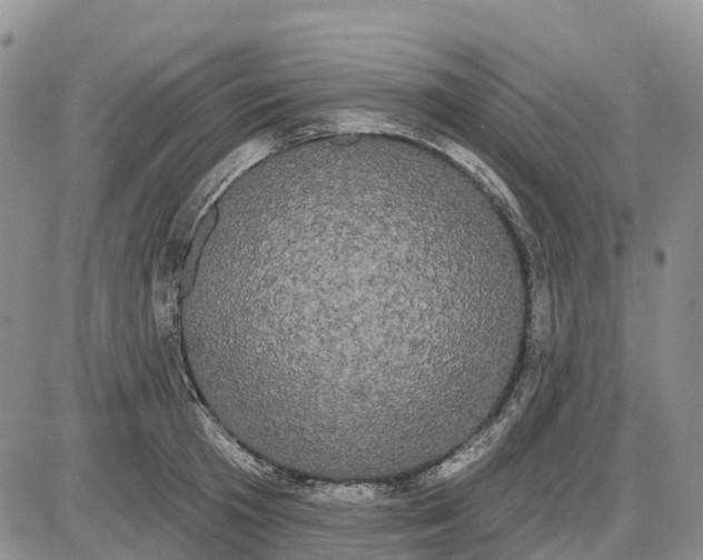 X0000085040801200703191232