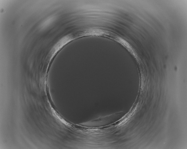 X0000085040802200703191231