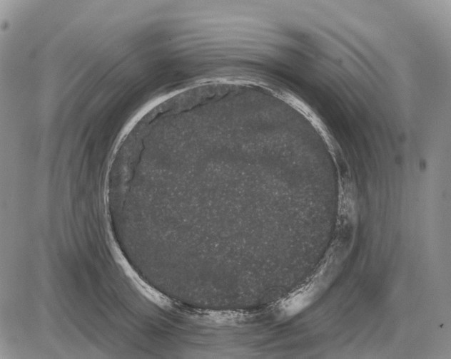 X0000085040803200703191231