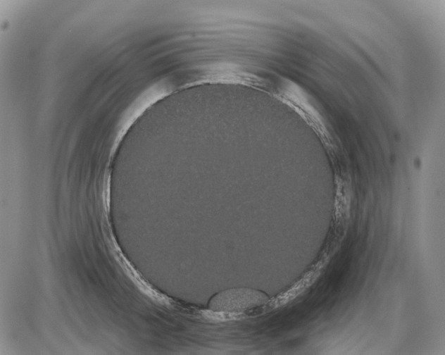 X0000085040804200703191231