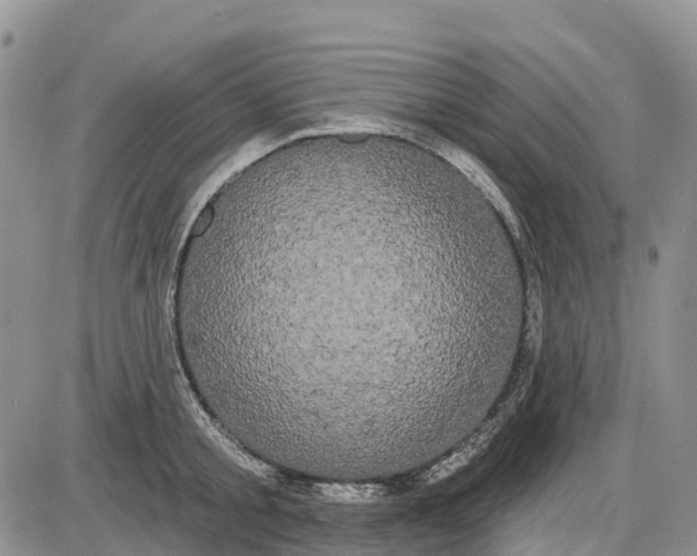 X0000085040805200703191231