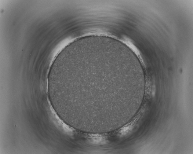 X0000085040807200703191231