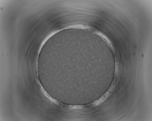 X0000085040808200703191231