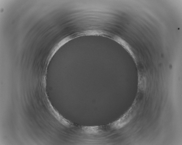 X0000085040810200703191231