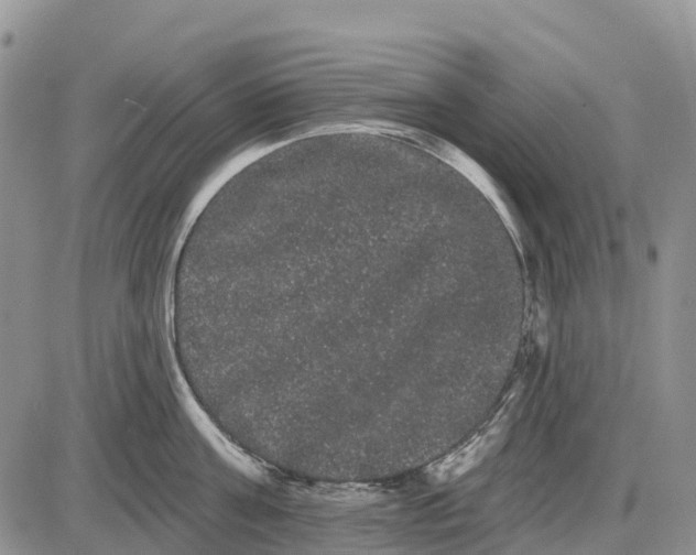 X0000085040811200703191231