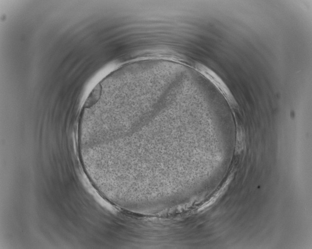 X0000085040812200703191231