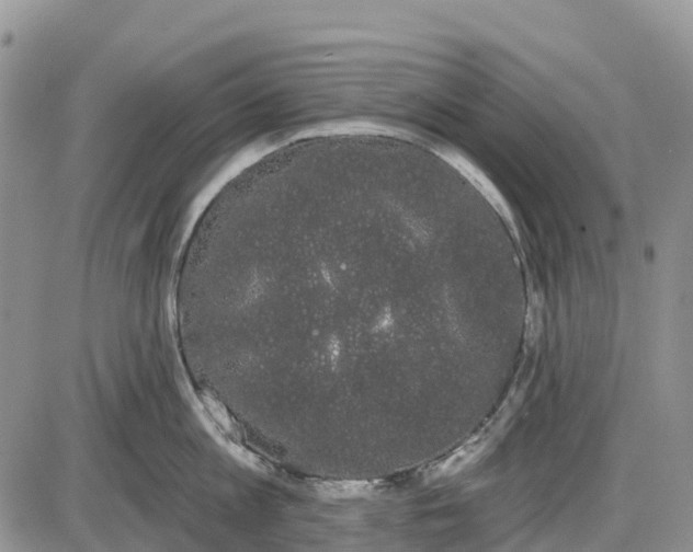 X0000085040813200703191231