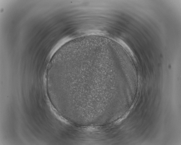 X0000085040814200703191231