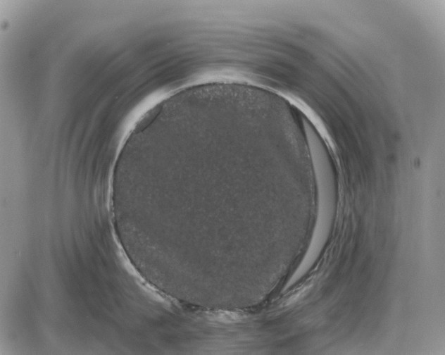 X0000085040815200703191231