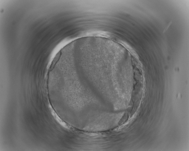 X0000085040816200703191231