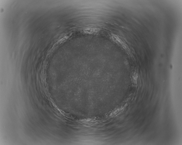 X0000085040817200703191230