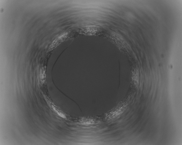 X0000085040818200703191230