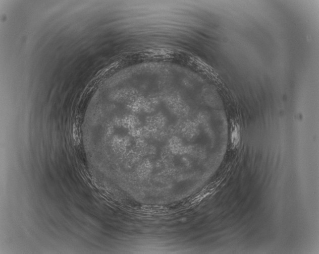 X0000085040819200703191230