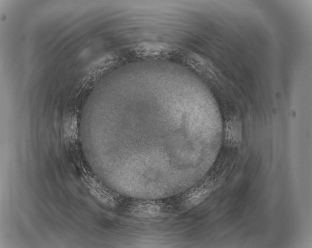 X0000085040820200703191231