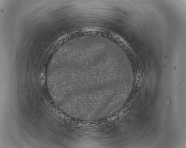 X0000085040821200703191231