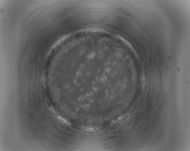 X0000085040823200703191231