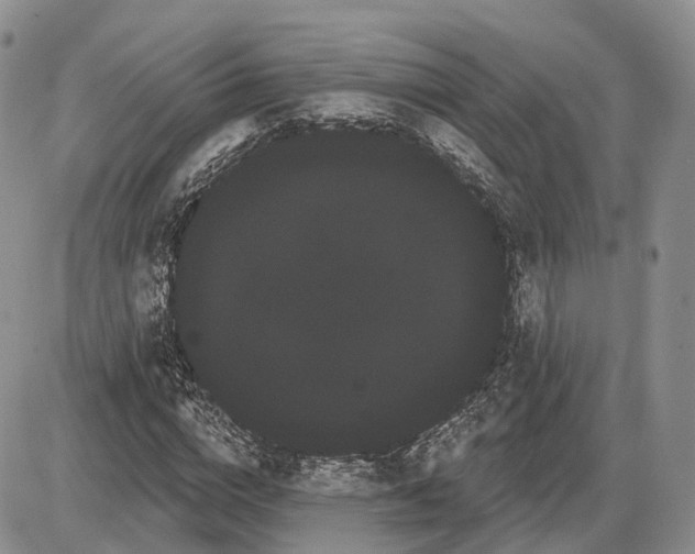 X0000085040824200703191231