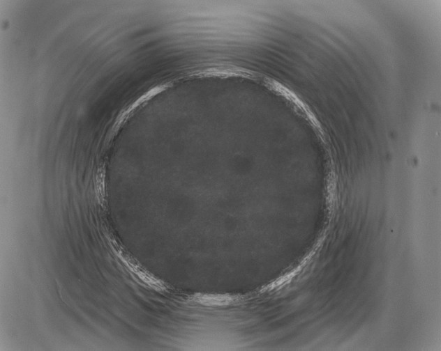 X0000085040825200703191231