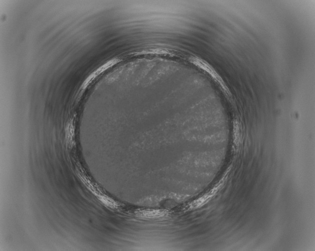 X0000085040826200703191231