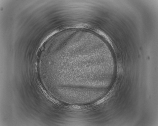 X0000085040827200703191231