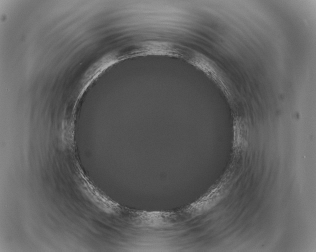 X0000085040828200703191231