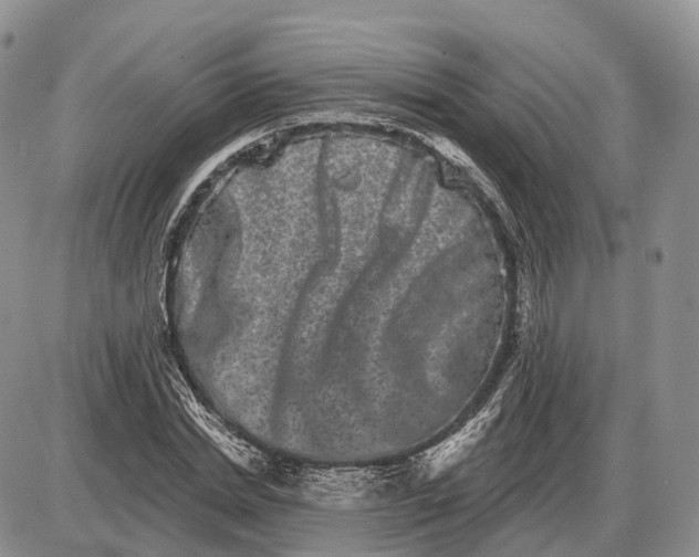 X0000085040830200703191231