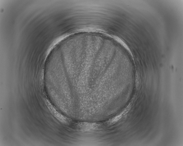 X0000085040831200703191231