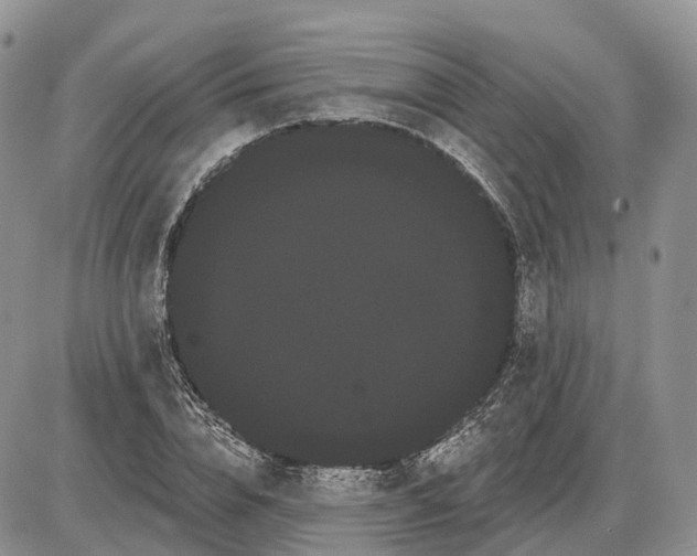 X0000085040832200703191231