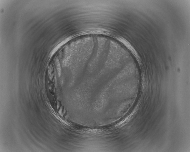 X0000085040834200703191231