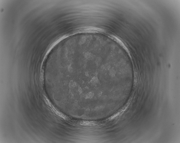 X0000085040835200703191231