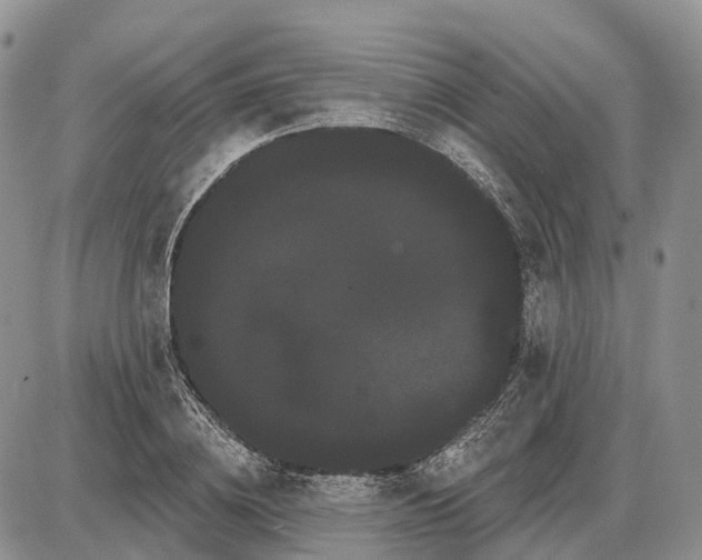 X0000085040836200703191231