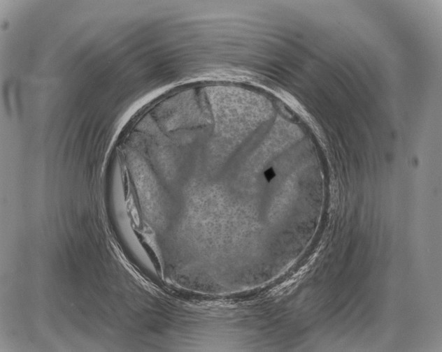 X0000085040838200703191231