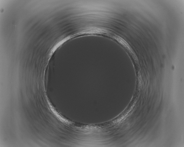 X0000085040842200703191231