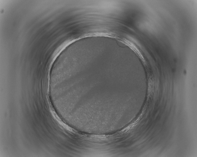 X0000085040844200703191231