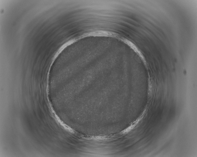 X0000085040845200703191231