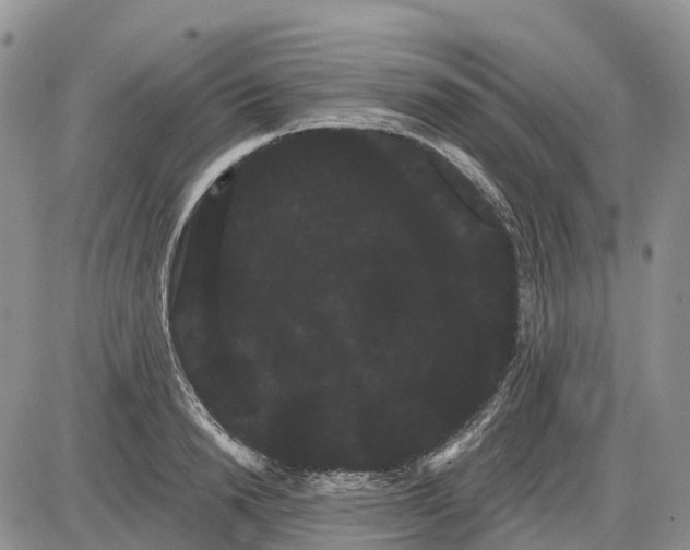 X0000085040846200703191231