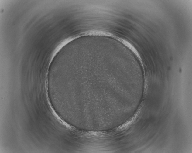 X0000085040847200703191231