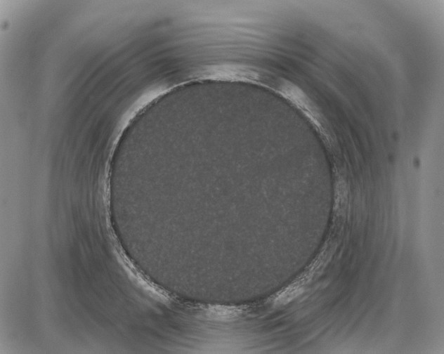 X0000085040848200703191231