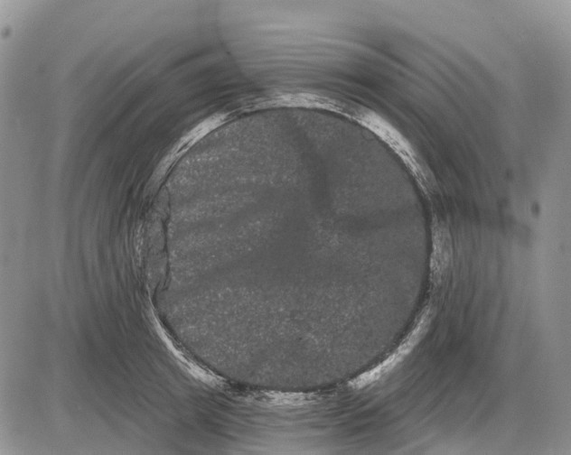 X0000085040849200703191231