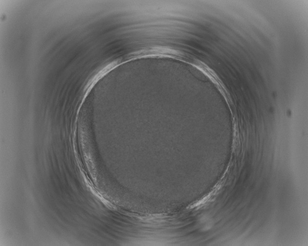 X0000085040850200703191231