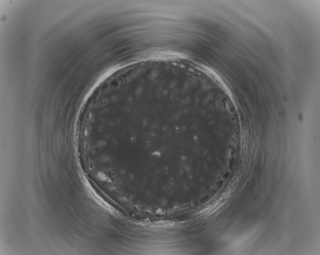 X0000085040851200703191231