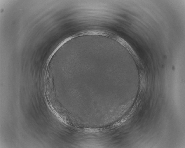 X0000085040852200703191231