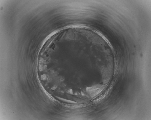 X0000085040853200703191231