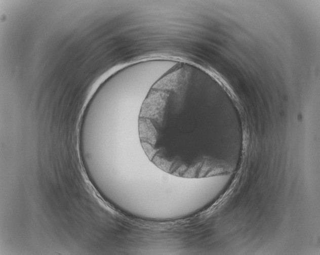 X0000085040854200703191231