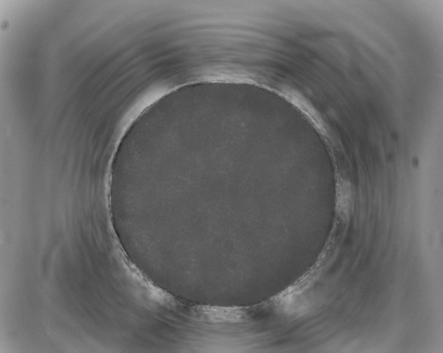 X0000085040856200703191231