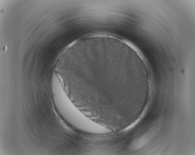 X0000085040857200703191231