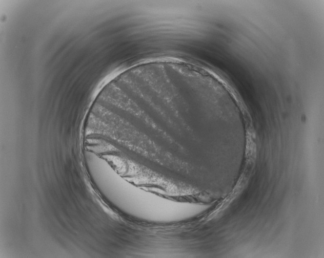 X0000085040858200703191231