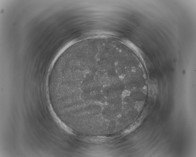 X0000085040859200703191231