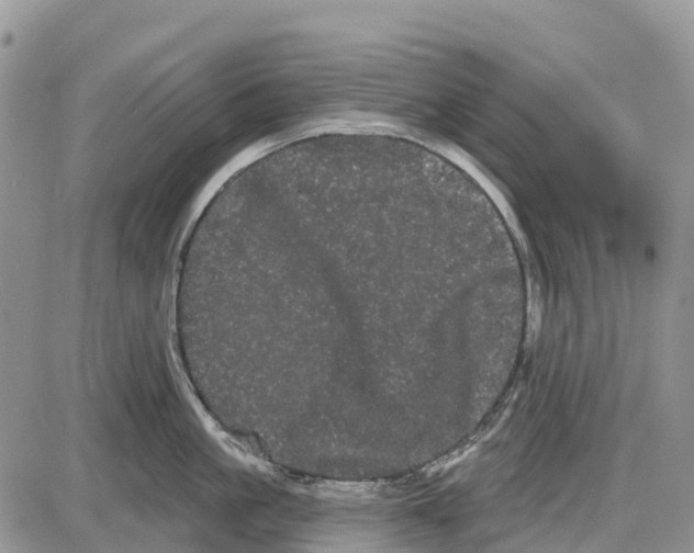 X0000085040861200703191231