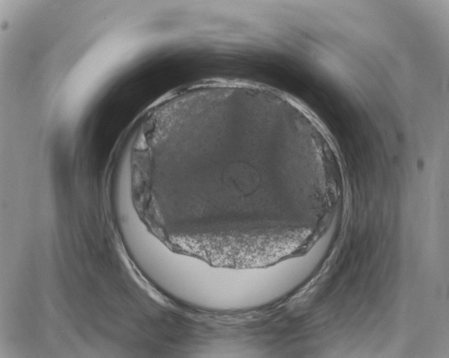 X0000085040862200703191231